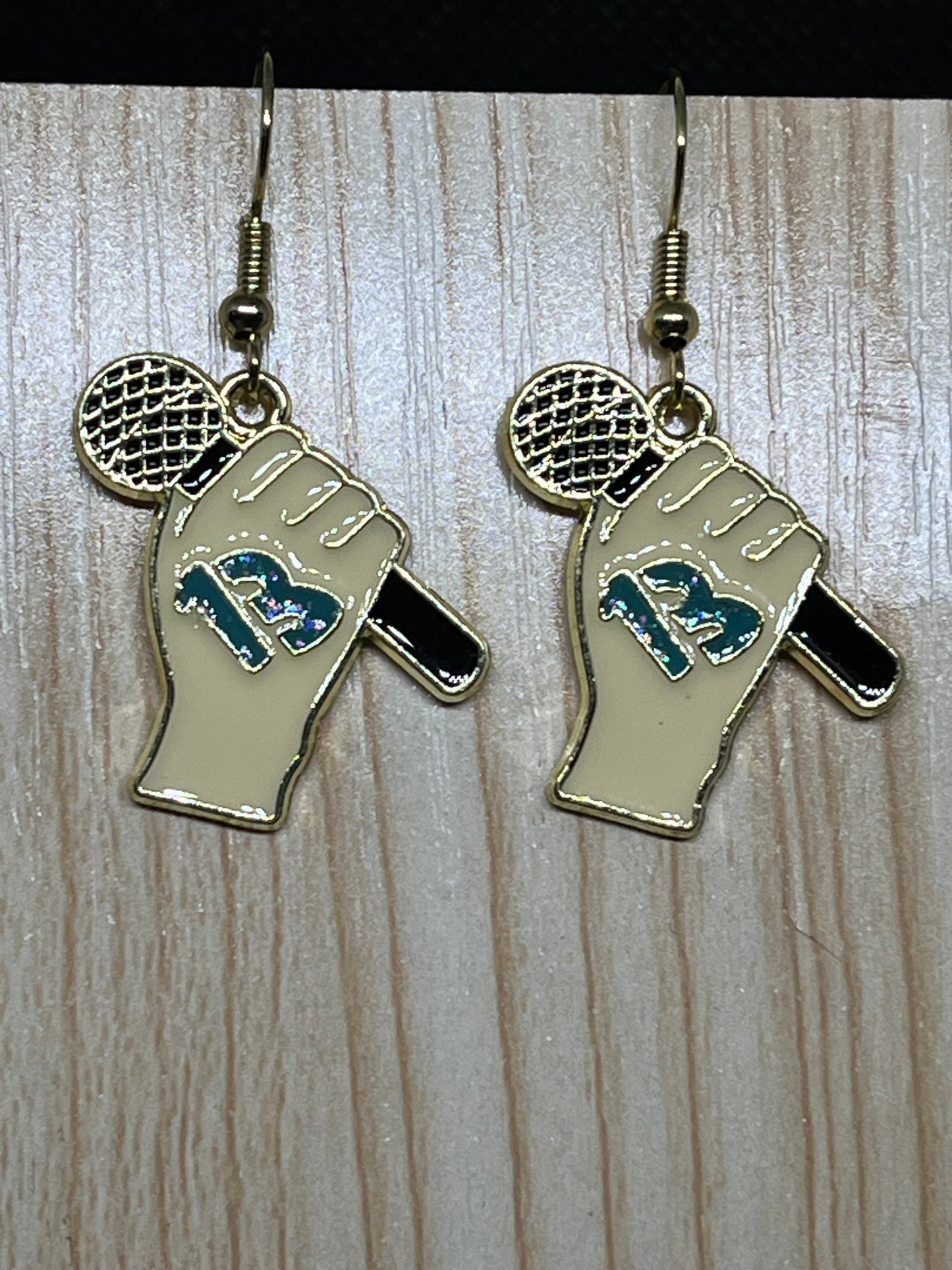 TS earrings E734