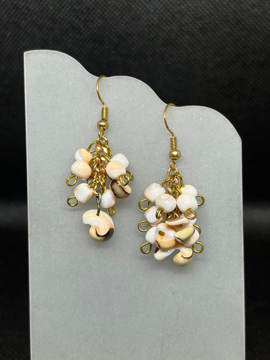 Shell earrings E801