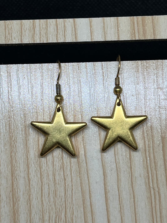 Star earrings E220