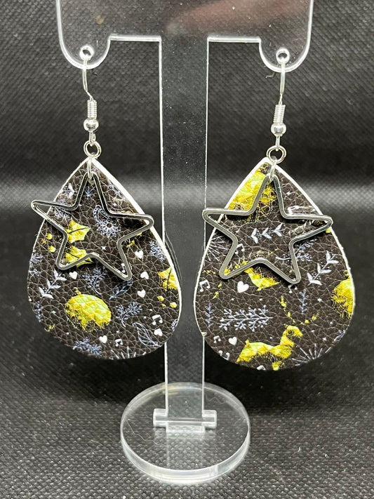 Star earrings